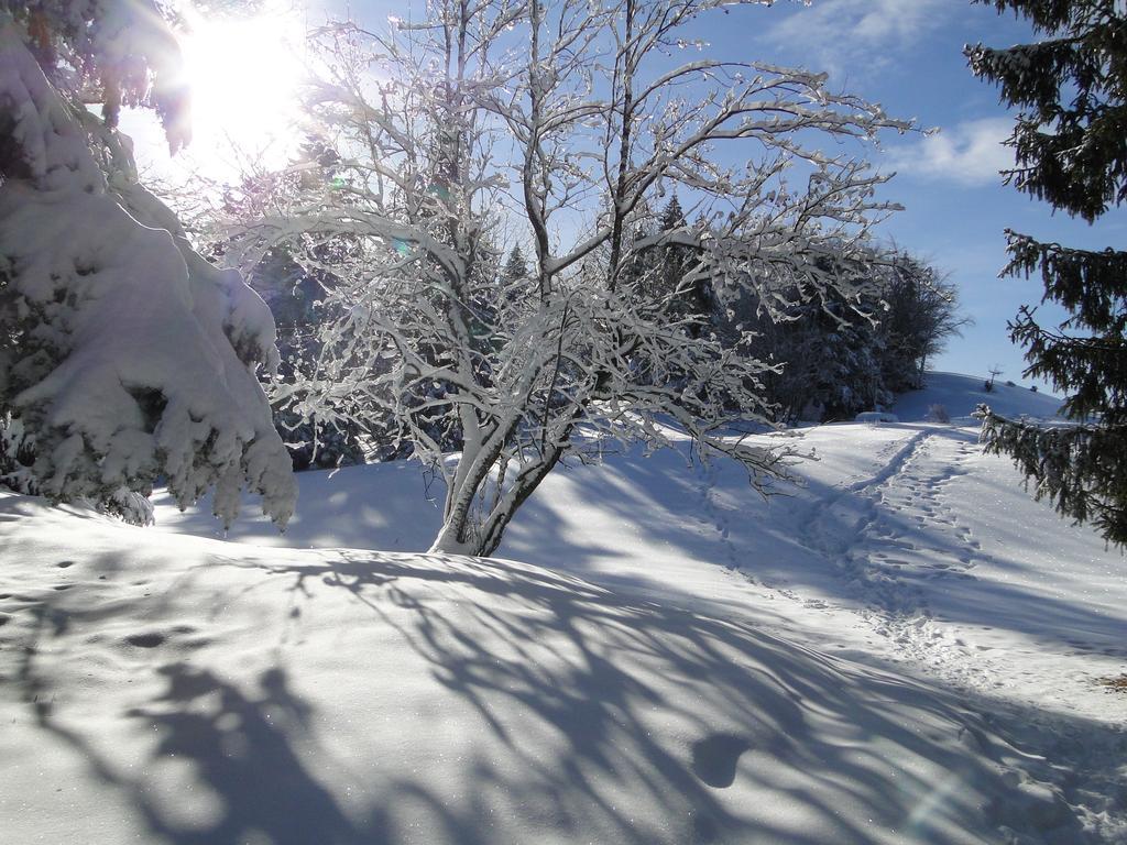 Hotel Notre Dame Des Neiges La Féclaz Exteriér fotografie
